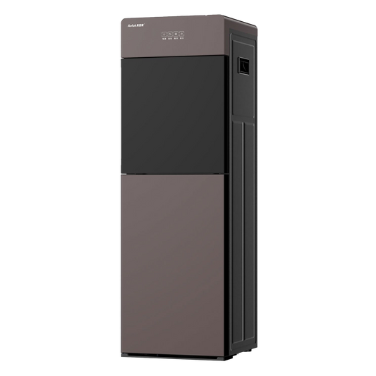 Electronic Water Dispenser